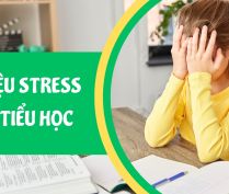 Làm sao phát hiện sớm dấu hiệu stress ở trẻ tiểu học? Làm sao phát hiện sớm dấu hiệu stress ở trẻ tiểu học?